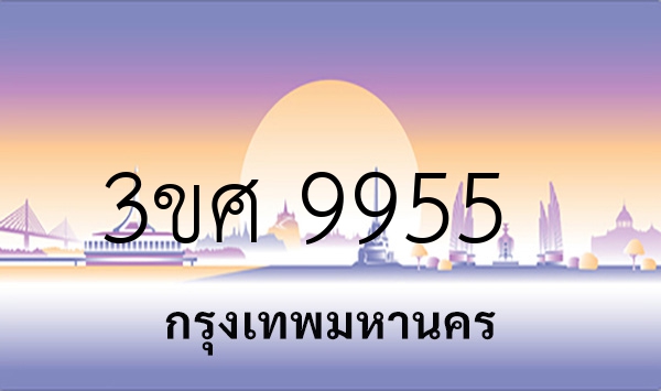 3ขศ 9955